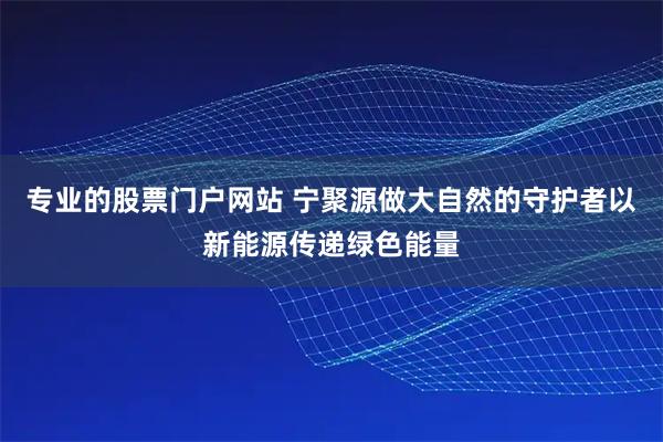 专业的股票门户网站 宁聚源做大自然的守护者以新能源传递绿色能量