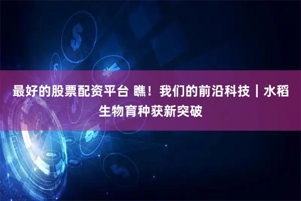 最好的股票配资平台 瞧！我们的前沿科技｜水稻生物育种获新突破