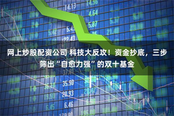 网上炒股配资公司 科技大反攻！资金抄底，三步筛出“自愈力强”的双十基金